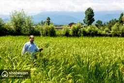 عشق به زندگی از دریچه لنز دوربین /گزارش تصویری