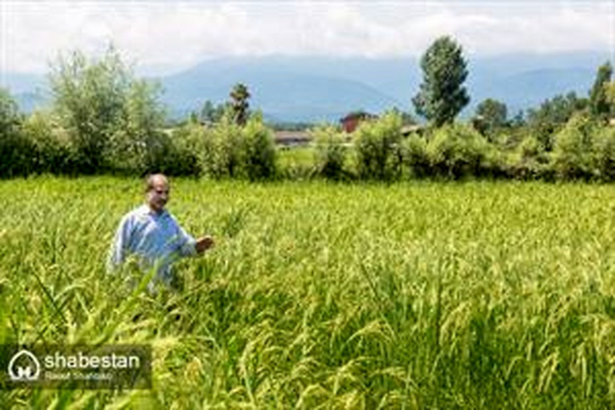 عشق به زندگی از دریچه لنز دوربین /گزارش تصویری