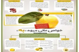 معجزه یک میوه پاییزی در درمان سرفه و کم خونی + اینفوگرافی