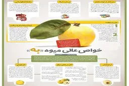 معجزه یک میوه پاییزی در درمان سرفه و کم خونی + اینفوگرافی