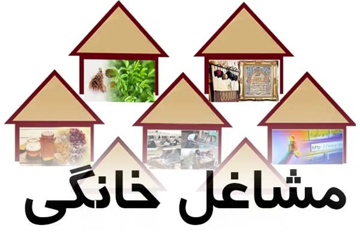 وام ۲۰ میلیونی شامل کدام کسب و کارهای خانگی می‌شود؟