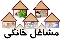 وام ۲۰ میلیونی شامل کدام کسب و کارهای خانگی می‌شود؟
