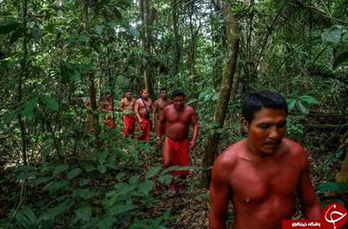 تصاویری دیدنی از قبیله‌ای ناشناخته در قلب جنگل آمازون