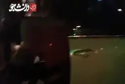 لحظه دستگیری اراذل و اوباش شمال کشور را ببینید