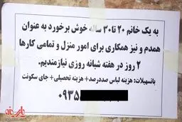 آگهی نیاز به همدم خانم!/ عکس