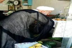 میوه خریدن یک عضو مجلس خبرگان /عکس