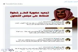 توئیت وزیر بحرینی برای اخراج قطر از شورای همکاری خلیج‌فارس/ عکس