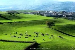 طبیعت بکر منطقه "قره داغ" / عکس