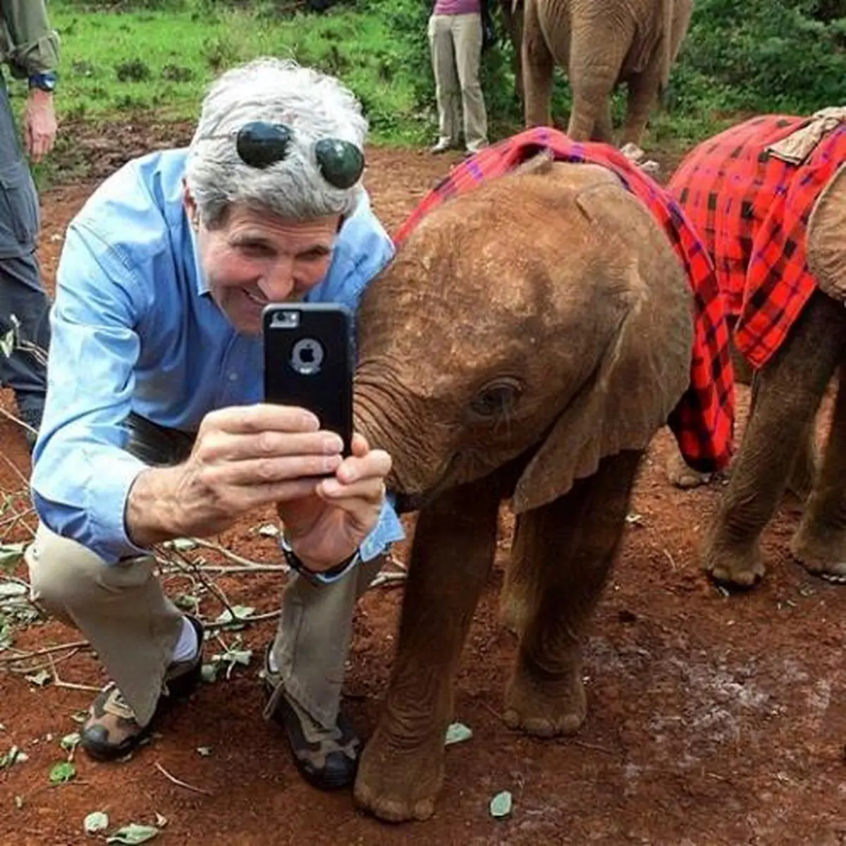 سلفی جان کری با بچه فیل /عکس