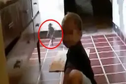 عکس این موجود جن مانند 11.5 میلیون بیننده داشت! + تصاویر