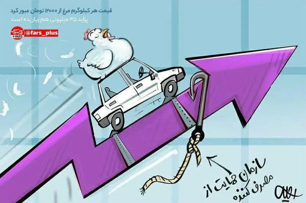 پرواز مرغ با پراید! /کاریکاتور