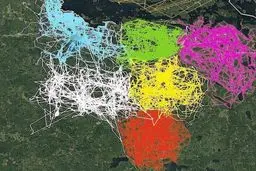 احترام گُرگ‌ها به قلمرو یکدیگر! / عکس