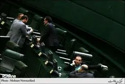 سومین نوبت بررسی جزئیات لایحه بودجه ۹۵ در صحن علنی مجلس/ تصاویر