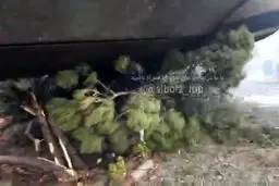 ببینید: تصاویری از سقوط هواپیمای باری در فرودگاه فتح