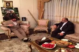 دیدار مشاور روحانی با علی مطهری / عکس