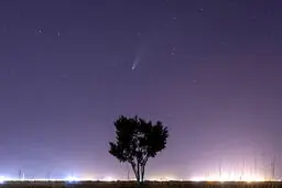 زيبايي اين ستاره شما را ميخكوب مي كند! + عكس