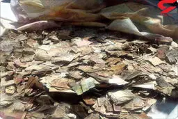 کشف ثروت پیرزن اردبیلی پس از مرگش + عکس