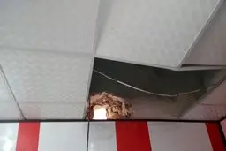 سرقت عجیب از یک مغازه+عکس