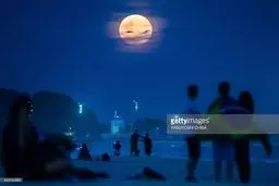 شب های ریو در ایام المپیک/تصاویر