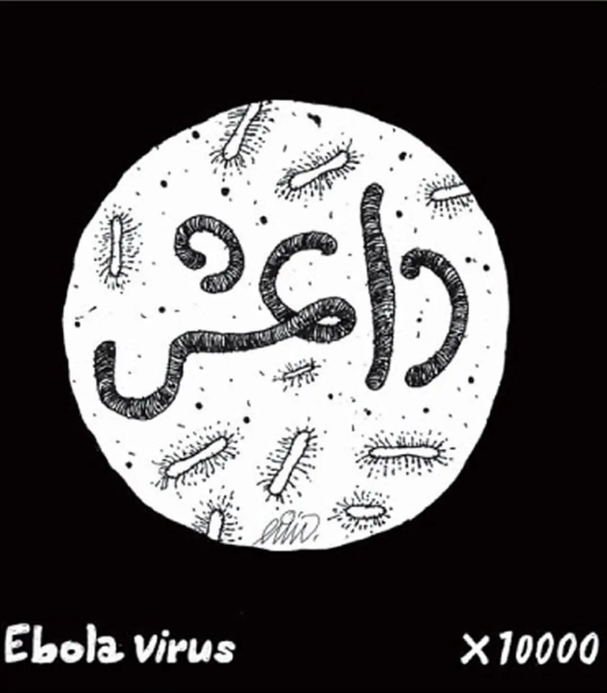 داعش=ویروس ابولا /کاریکاتور