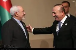 نشست وزرای خارجه سازمان همکاری اسلامی/ تصاویر