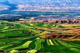 نمایی دلچسب از مزارع سرسبز زنجان/تصاویر