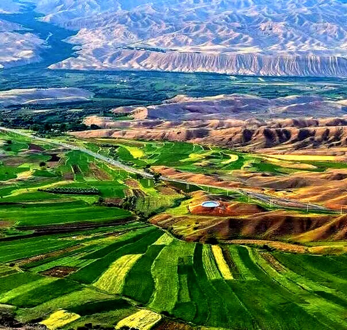 نمایی دلچسب از مزارع سرسبز زنجان/تصاویر
