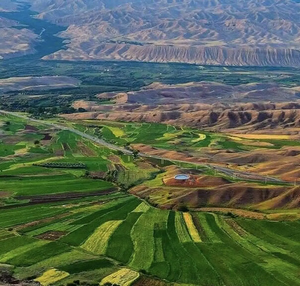 نمایی دلچسب از مزارع سرسبز زنجان/تصاویر