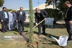 درختکاری لاریجانی در حیاط مجلس/تصاویر