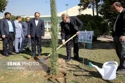 درختکاری لاریجانی در حیاط مجلس/تصاویر