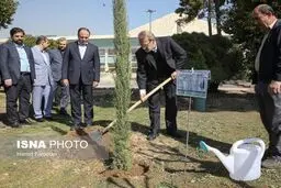 درختکاری لاریجانی در حیاط مجلس/تصاویر