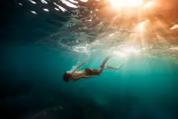 شنای آزاد عکاس در عکس روز نشنال جئوگرافیک