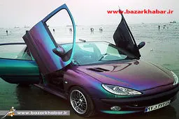 متفاوت ترین 206ایی که دیده اید/عکس