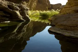 تصاویری ترسناک از کال جنی