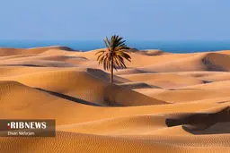 درک می‌دونید کجاست؟ +تصاویر زیبا و عجیب