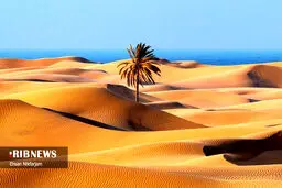 درک می‌دونید کجاست؟ +تصاویر زیبا و عجیب