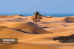 درک می‌دونید کجاست؟ +تصاویر زیبا و عجیب