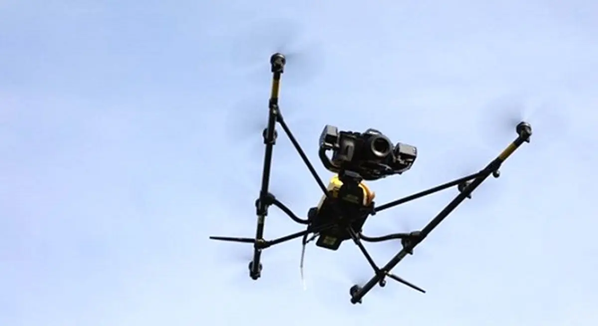 پهپادهایی که پرندگان استتار کرده در طبیعت را هم پیدا می کنند! + عکس