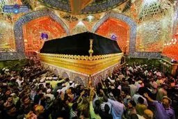 عکس / نمایی زیبا از ضریح حرم امام علی(ع)