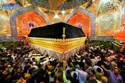 عکس / نمایی زیبا از ضریح حرم امام علی(ع)