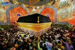 عکس / نمایی زیبا از ضریح حرم امام علی(ع)