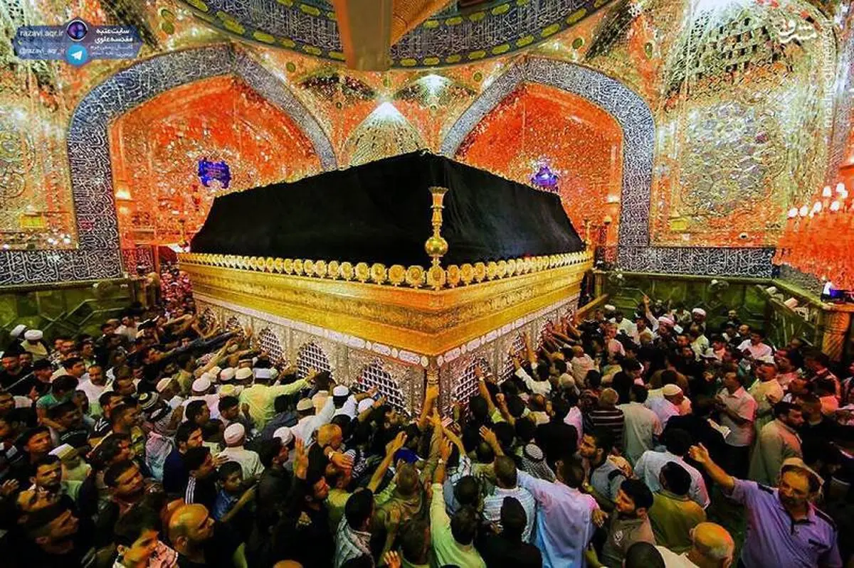 عکس / نمایی زیبا از ضریح حرم امام علی(ع)