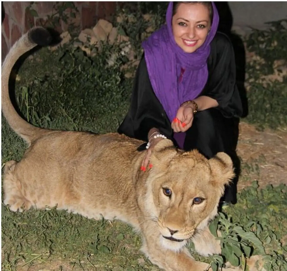 بازیگر زن سینما و نوازش شیر/ عکس