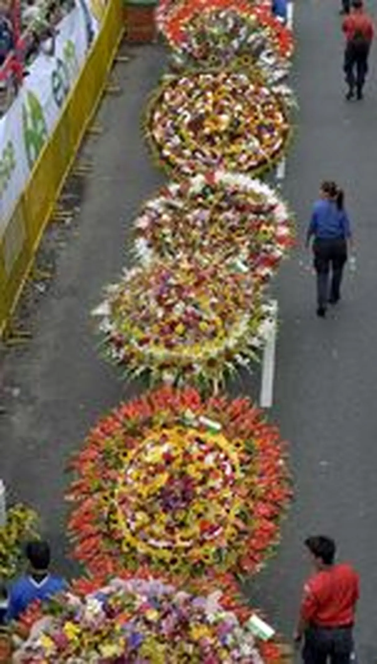 جشنواره گل در کلمبیا (عکس)