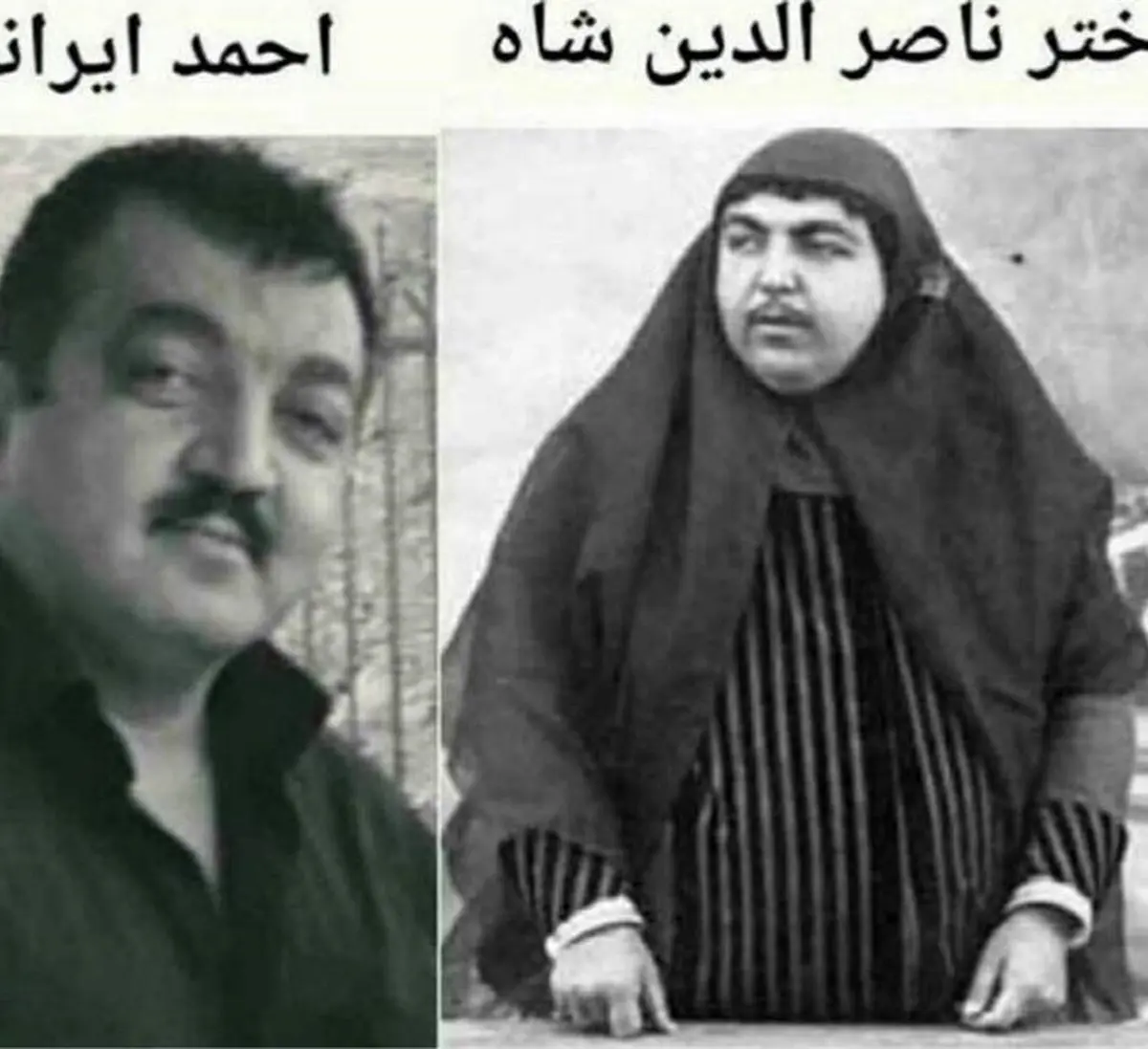 شباهت جالب دختر ناصرالدین شاه به بازیگر غول برره/عکس