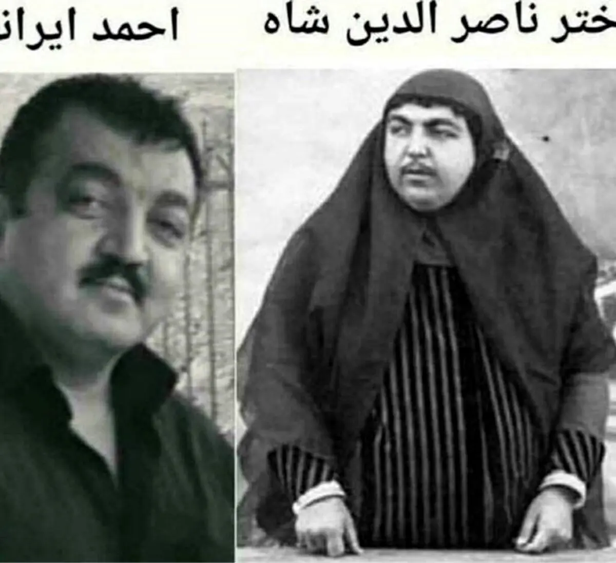 شباهت جالب دختر ناصرالدین شاه به بازیگر غول برره/عکس