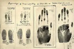 نخستین انگشت‌نگاری تاریخ/ عکس