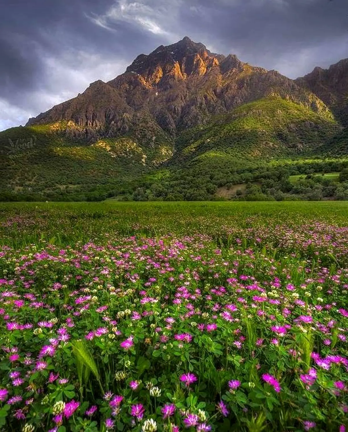 تصویری فوق العاده زیبا از طبیعت شگفت انگیز گچساران