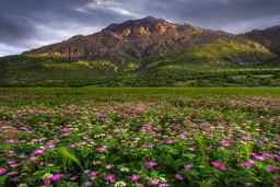 تصویری فوق العاده زیبا از طبیعت شگفت انگیز گچساران