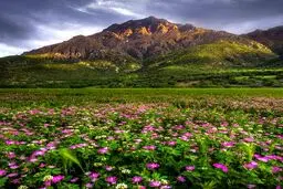 تصویری فوق العاده زیبا از طبیعت شگفت انگیز گچساران